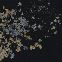 Mittatilaustapetti Rebel Walls Fragile Beauty, Dark Blue (R19297)