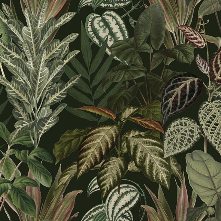 Mittatilaustapetti Rebel Walls Mischievous Jungle, Lush (R19443)