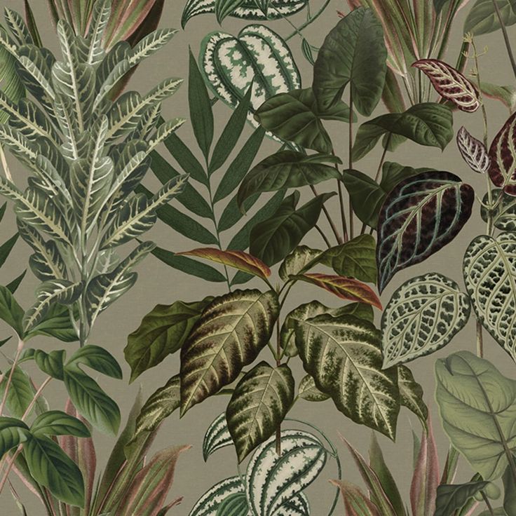 Mittatilaustapetti Rebel Walls Mischievous Jungle, Sand (R19445)