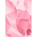 Mallipala Rebel Walls Petals pinkki (REBR19513)