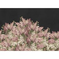 Kuvatapetti Rebel Walls Syringa Flowers musta, mittatilaus, non-woven