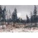Mallipala Rebel Walls Melodic Forest sininen (REBR21285)