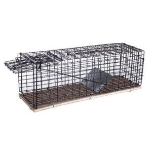 Rotanpyydys Silverline, metallikehikolla lion r1