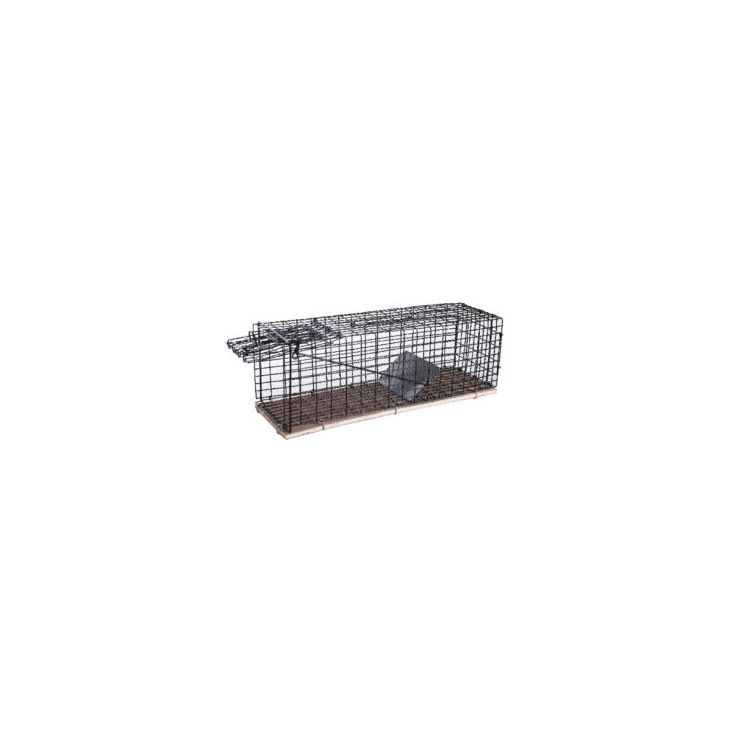 Rotanpyydys Silverline, metallikehikolla lion r1