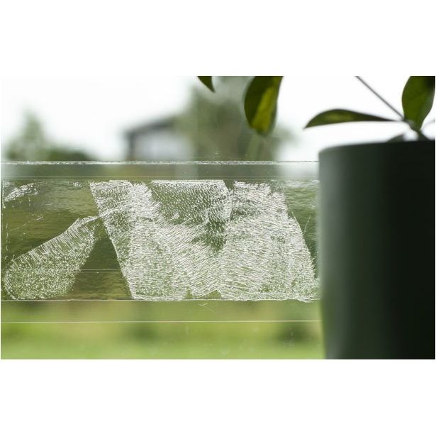 Hyönteisansa Silverline Sticky F10, 10kpl
