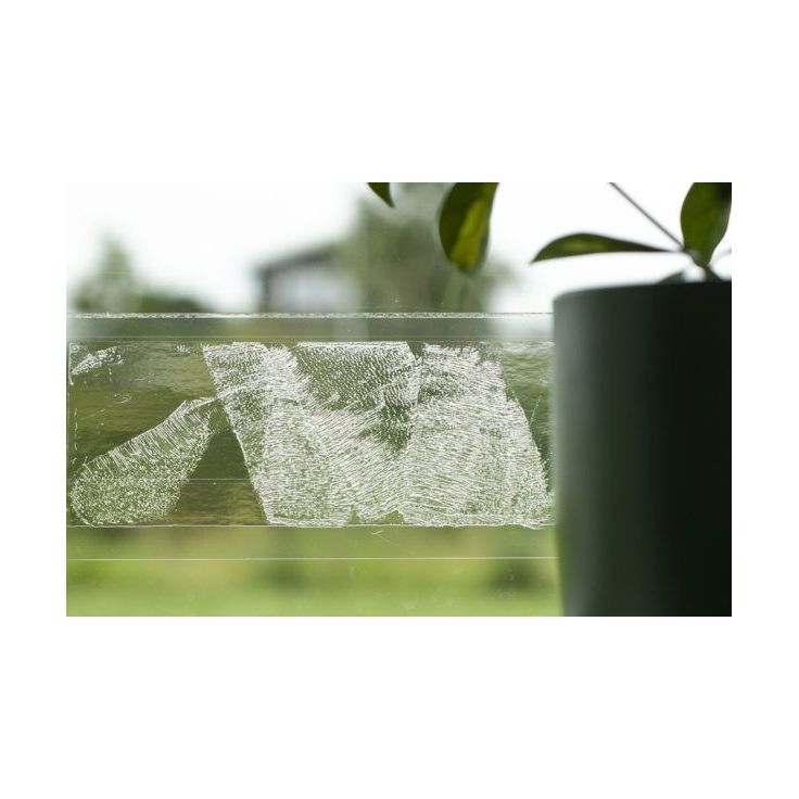 Hyönteisansa Silverline Sticky F10, 10kpl