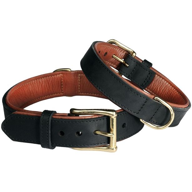 Rasvanahkapanta Pet First FL vuorella musta rusk  30mmx50cm
