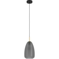 Riippuvalaisin Eglo Alobrase, 40W, Ø20cm, mattaharmaa/harjattu messinki