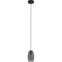 Riippuvalaisin Eglo Batista, 40W, Ø12cm, mattaharmaa/harjattu messinki