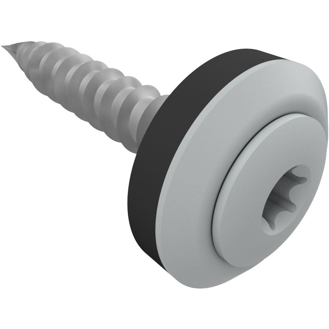 Kateruuvi Ruukki Viktoria, 4.8x28mm, torx, 100 kpl, RR21 vaaleanharmaa