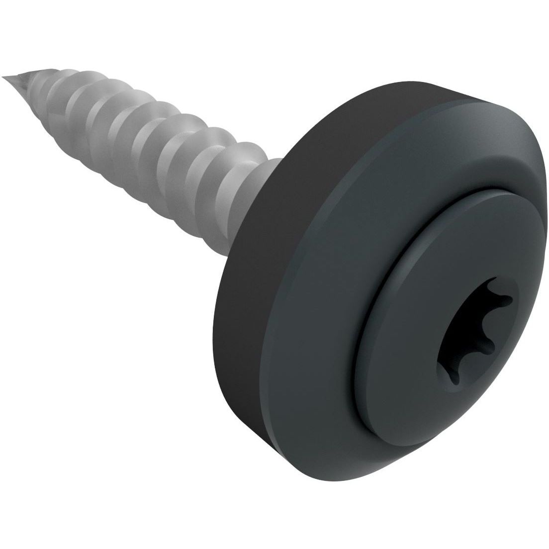 Kateruuvi Ruukki Viktoria, 4.8x28mm, torx, 100 kpl, RR23 tummanharmaa