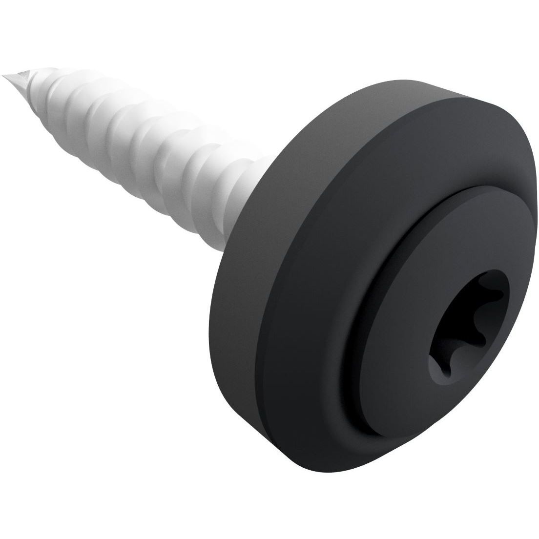 Kateruuvi Ruukki Viktoria, 4.8x28mm, torx, 100 kpl, RR2H3 antrasiitti