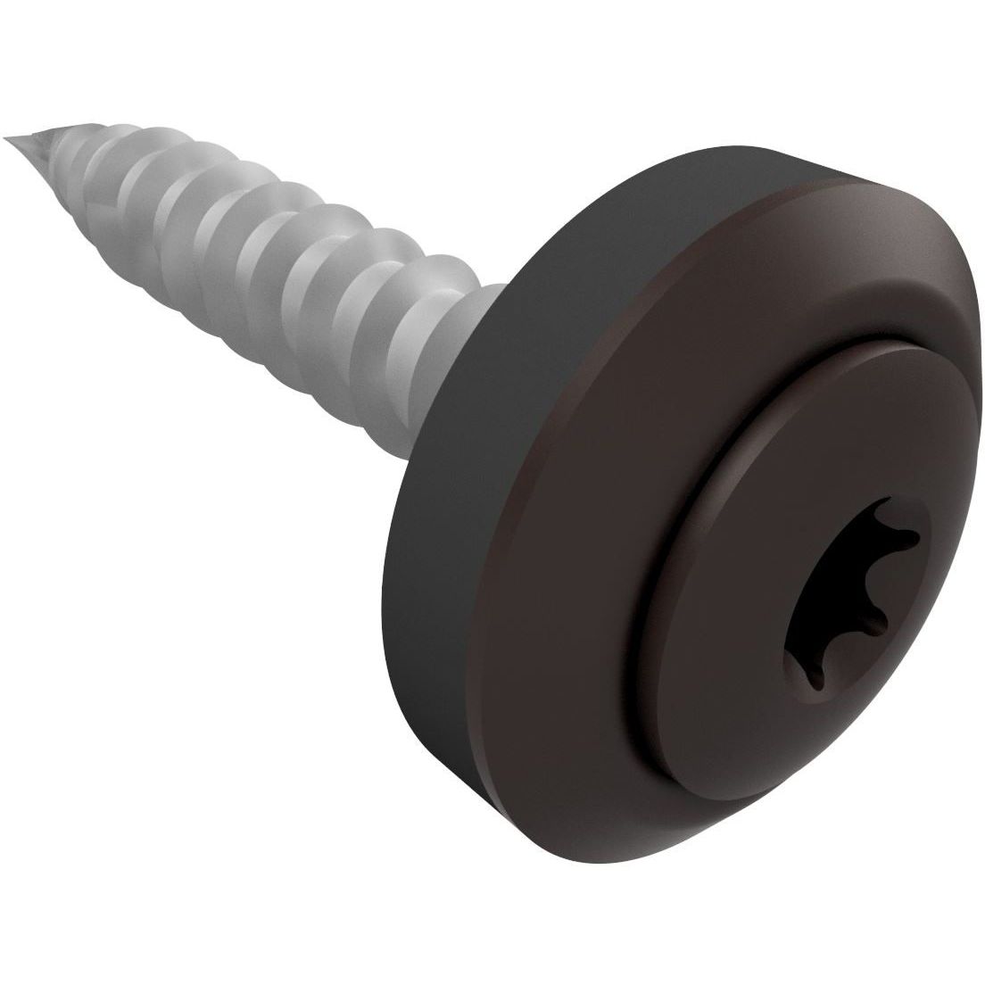 Kateruuvi Ruukki Viktoria, 4.8x28mm, torx, 100 kpl, RR32 tummanruskea