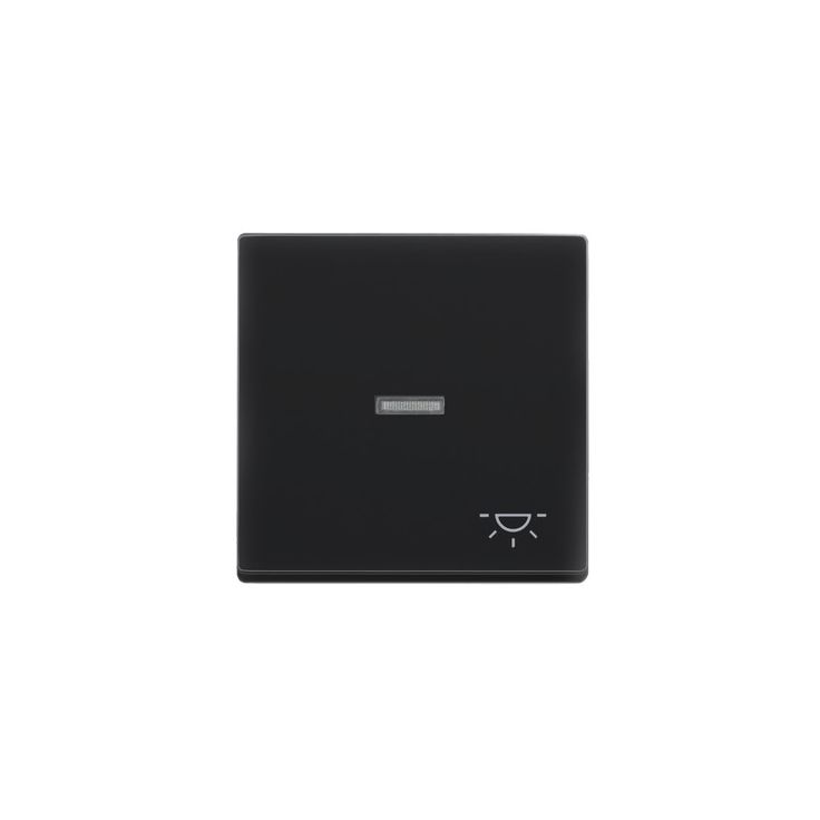 Vipu ABB Impressivo - VIPU1/IP21 LI "valo" antrasiitti