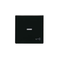 Vipu ABB Impressivo - VIPU1/IP21 LI &quot;avain&quot; antrasiitti