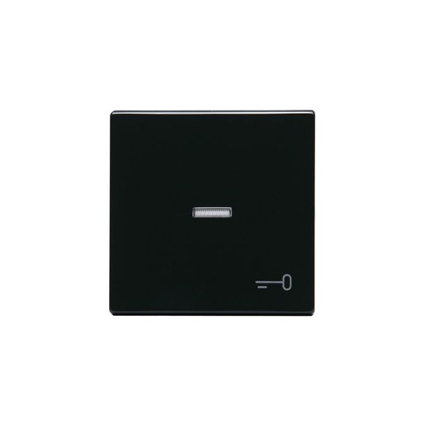 Vipu ABB Impressivo - VIPU1/IP21 LI "avain" antrasiitti