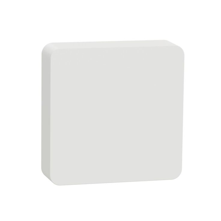 Lämpötila- ja kosteusmittari Schneider Electric, Wiser Zigbee