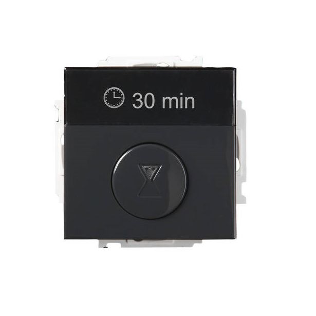 Ajastin ABB Impressivo - T210-81 15m-8h/10A IP21 UK antrasiitti