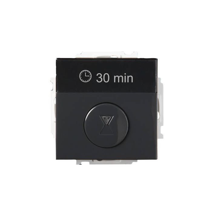 Ajastin ABB Impressivo - T210-81 15m-8h/10A IP21 UK antrasiitti