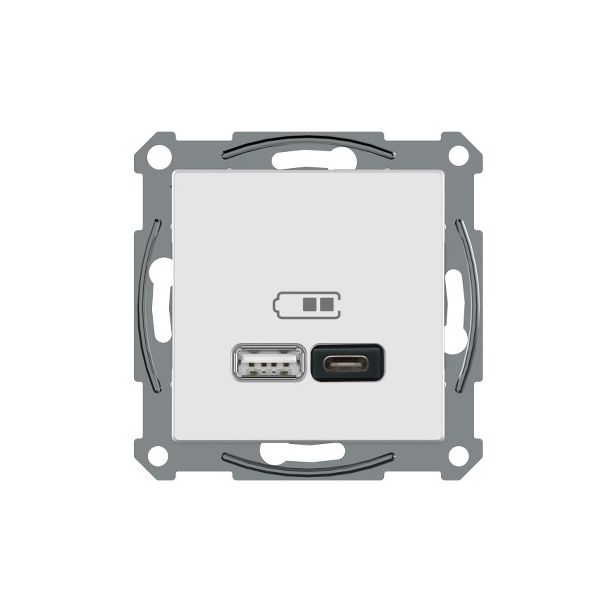 USB-latauspistorasia Schneider Electric A + C 2,4 A valkoinen, Exxact