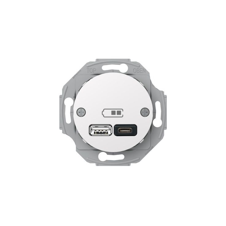 USB-latauspistorasia Schneider Electric A + C 2,4 valkoinen Renova