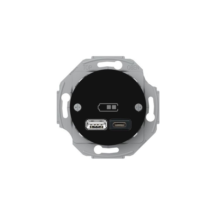 USB-latauspistorasia Schneider Electric A + C 2,4 A musta, Renova