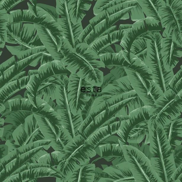 Tapetti ESTA Jungle Fever 138985, 0.53x10.05m, non-woven, vihreä/musta