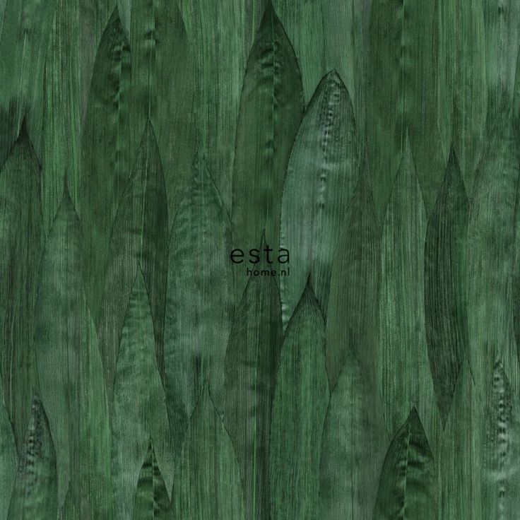 Tapetti ESTA Jungle Fever 138988, 0.53x10.05m, non-woven, vihreä