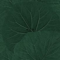 Tapetti ESTA Jungle Fever 138997, 0.53x10.05m, non-woven, vihreä