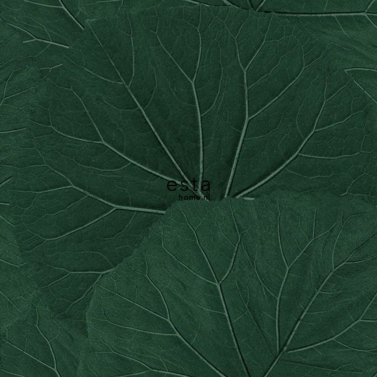 Tapetti ESTA Jungle Fever 138997, 0.53x10.05m, non-woven, vihreä