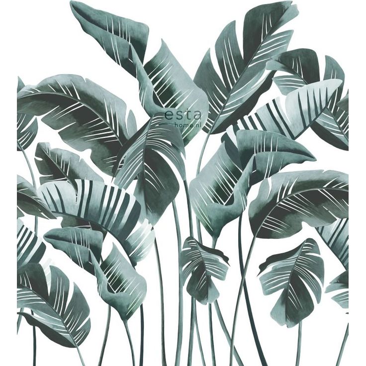 Tapetti ESTA Jungle Fever 158898, 1.86x2.79m, non-woven, vihreä/valkoinen