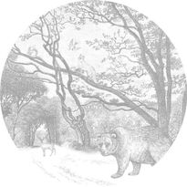 Sisustustarra Esta Forest Friends 159070, karhu, harmaa, eri kokoja