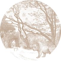 Sisustustarra Esta Forest Friends 159072, karhu, beige, eri kokoja