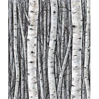 Tapetti Marburg Wallcoverings Urban Nature koivu, non-woven, vinyylipinta