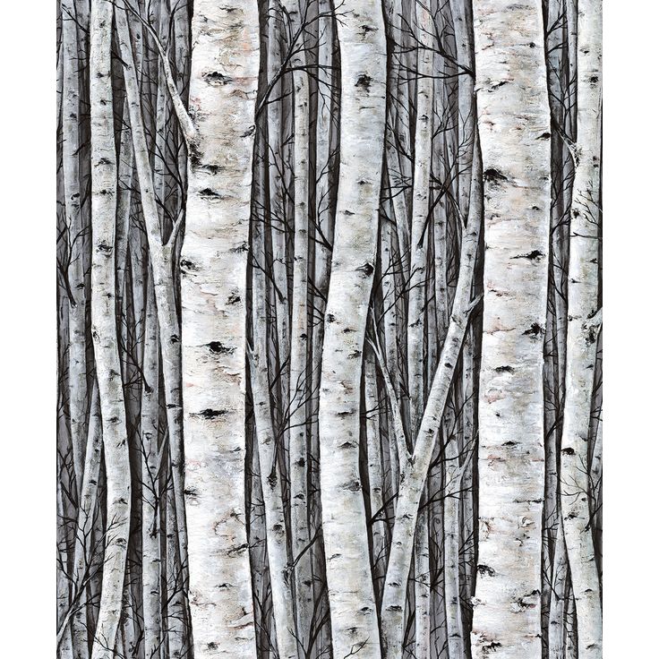 Tapetti Marburg Wallcoverings Urban Nature koivu, non-woven, vinyylipinta, valkoinen/harmaa/monivärinen (35397)
