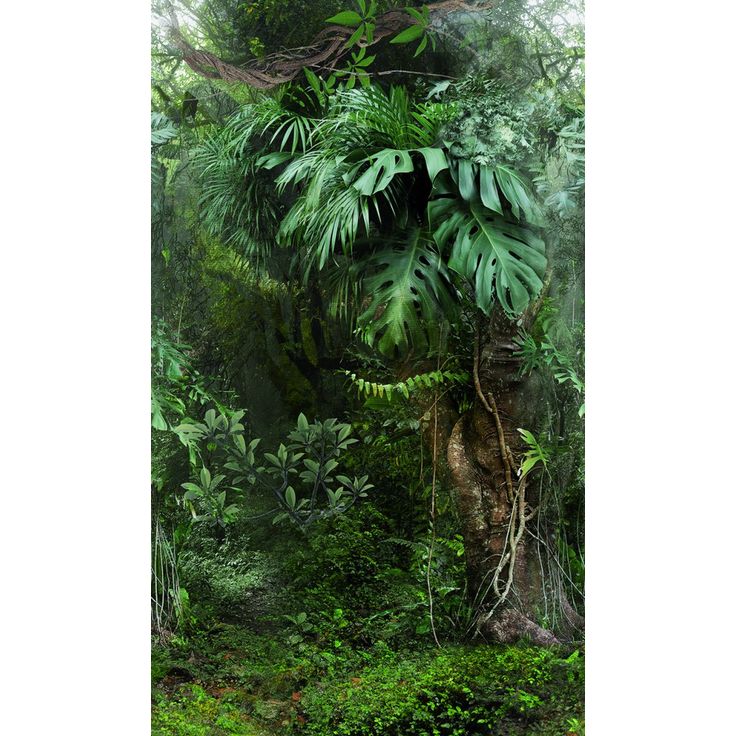 Kuvatapetti Smart Art Easy 47208, 1.59x2.70m, non-woven