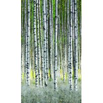 Maisematapetti Smart Art Easy 47220, 1.59x2.70m, non-woven