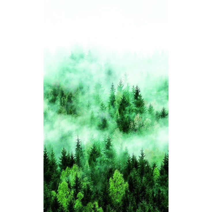 Kuvatapetti Smart Art Easy 47267, 1.59x2.70m, metsä, non-woven