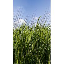Kuvatapetti Smart Art Easy 47272, 1.59x2.70m, non-woven
