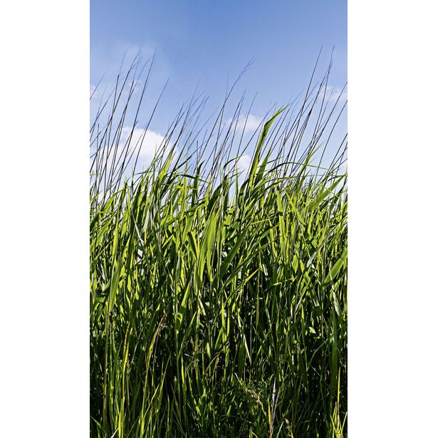 Kuvatapetti Smart Art Easy 47272, 1.59x2.70m, non-woven