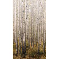 Maisematapetti One Roll One Motif Birch Tree, 1.59x2.80m, non-woven