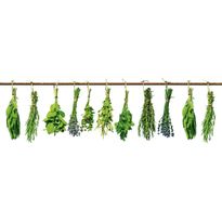 Välitilatarra Dimex Herbs, 180-350x60cm