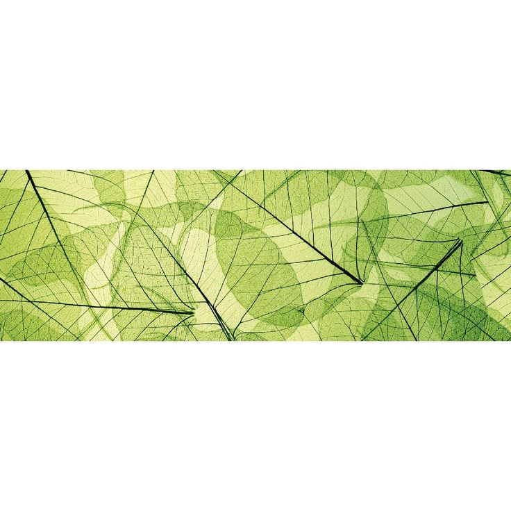 Välitilatarra Dimex Leaf Veins, 180-350x60cm