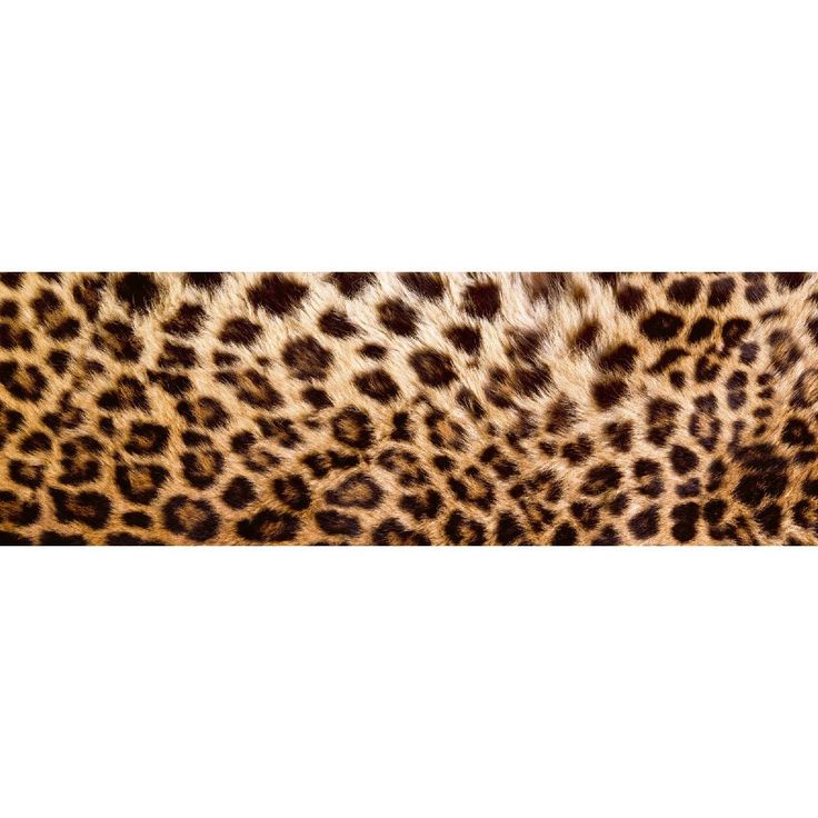 Välitilatarra Dimex Leopard Skin, 180-350x60cm