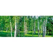 Maisematapetti Dimex Birch Grow, 375x150cm