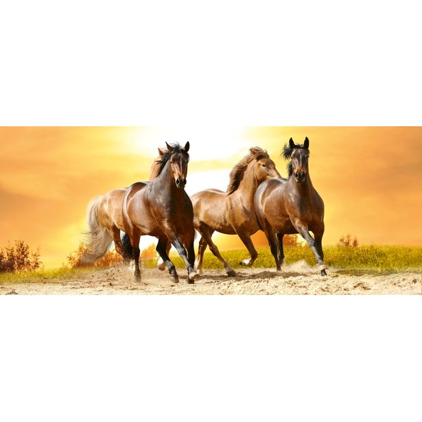 Kuvatapetti Dimex Horses In Sunset, 375x150cm