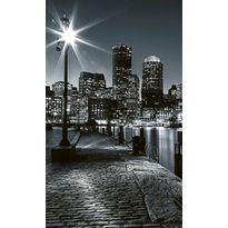 Maisematapetti Dimex Boston, 150x250cm