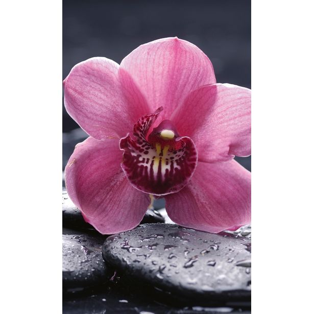 Kuvatapetti Dimex Orchid, 150x250cm