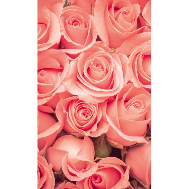 Kuvatapetti Dimex Roses, 150x250cm