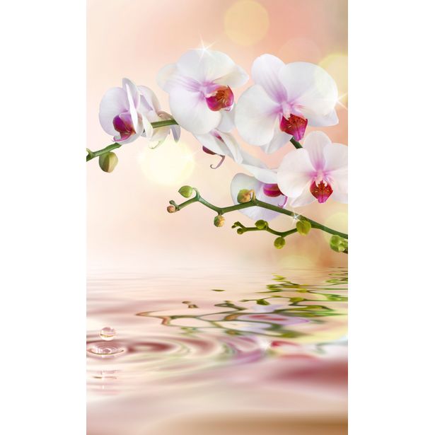 Kuvatapetti Dimex White Orchid, 150x250cm